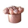 Bougie Rosace Cuivrée - vue de face Bougie Rosace Cuivrée - bougie artisanale en forme de roses dans un pot en résine écologique cuivrée, fond blanc